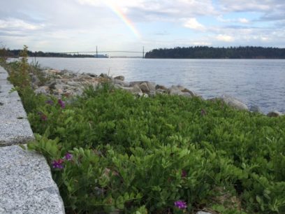 Coastal MIND has a tranquil office on Vancouver’ s North Shore. Sometimes, we take the clinic outside, letting the natural beauty of our city inspire us. 